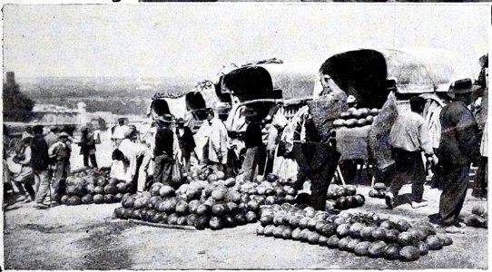 1908-09-26, Blanco y Negro, Los melones, Tanteando el género para comprarlo, Alba photo