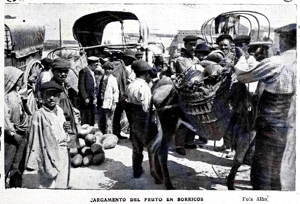 1908-09-26, Blanco y Negro, Los melones, Cargamento del fruto en borricos, Alba