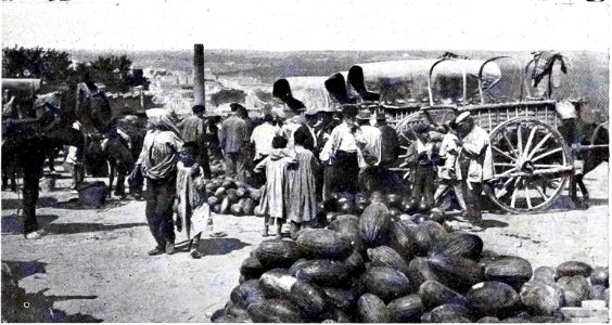 1908-09-26, Blanco y Negro, Los melones, Un apartado de género vendido, Alba photo