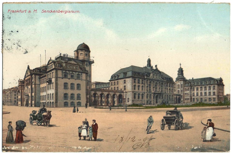 19081218 frankfurt senckenbergianum