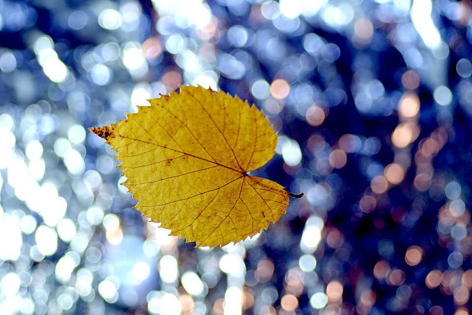 Colorful background single gold