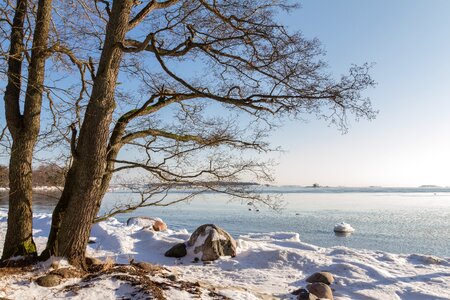 Landscape snow cold photo