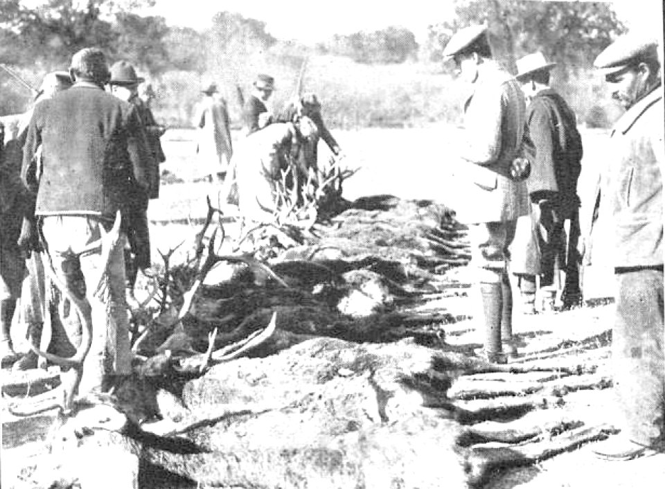1910-01-27, Actualidades, Cacería regia en El Pardo, Goñi (cropped) Después de la cacería, el cuadro