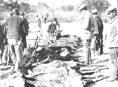 1910-01-27, Actualidades, Cacería regia en El Pardo, Goñi (cropped) Después de la cacería, el cuadro