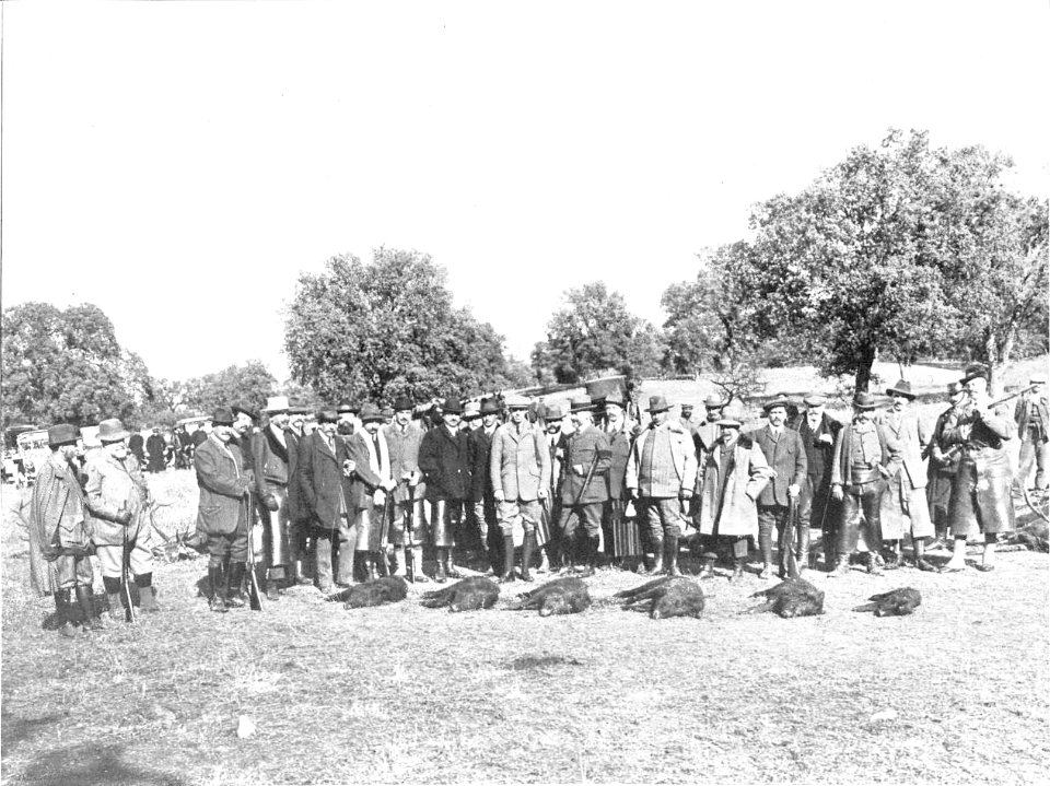 1910-01-27, Actualidades, Cacería regia en El Pardo, Goñi (cropped) Alfonso XIII y los cazadores que le acompañaron contemplando las piezas cobradas