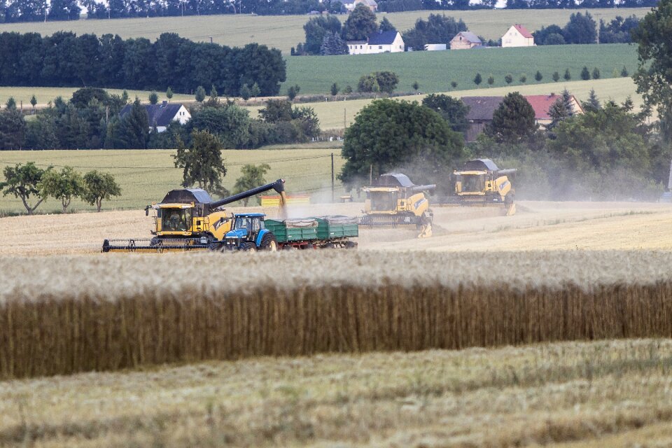 Harvest combine harvester saxony