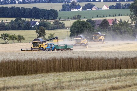 Harvest combine harvester saxony