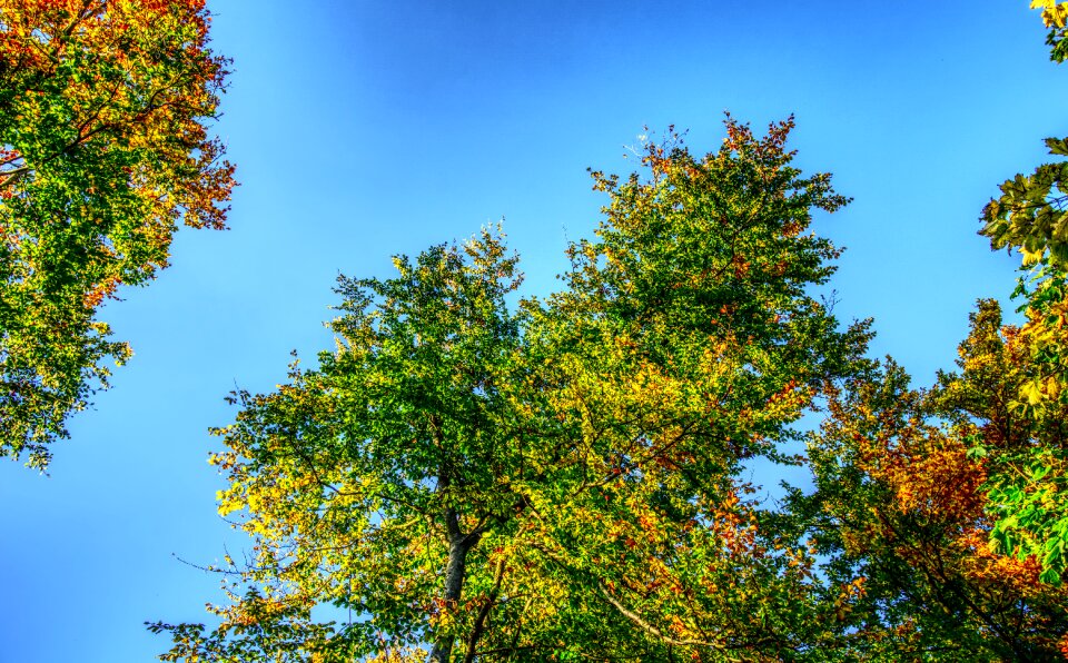 Colorful autumn sky