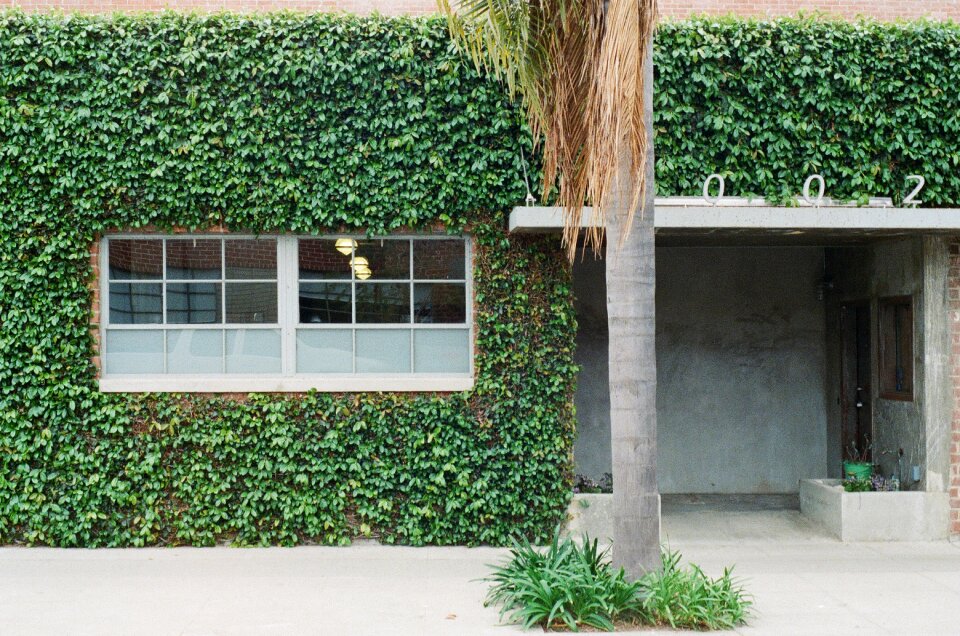 Windows house sidewalk