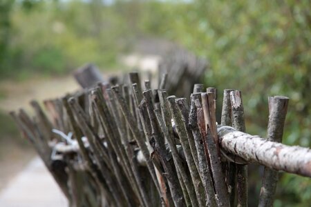 Journey nature the fence