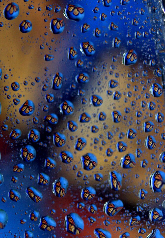 Reflection water rain
