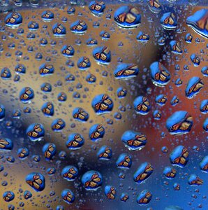Reflection water rain