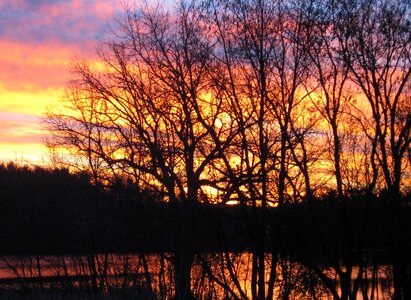 Lake sunrise trees photo