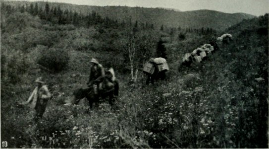 OLSEN(1915) Norske Sibirieskspeditions reise, 1914 - Pict 15 (14598490937)