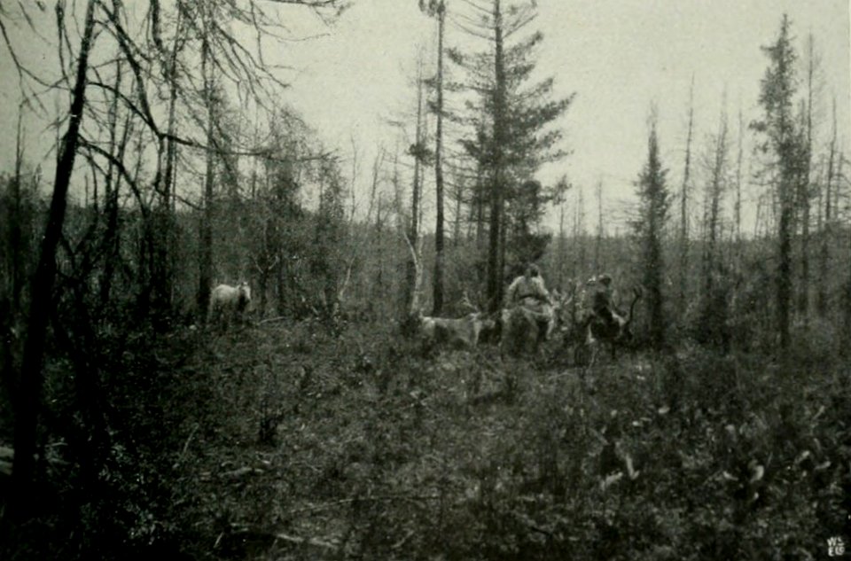 OLSEN(1915) Norske Sibirieskspeditions reise, 1914 - Pict 01 (14598314750)
