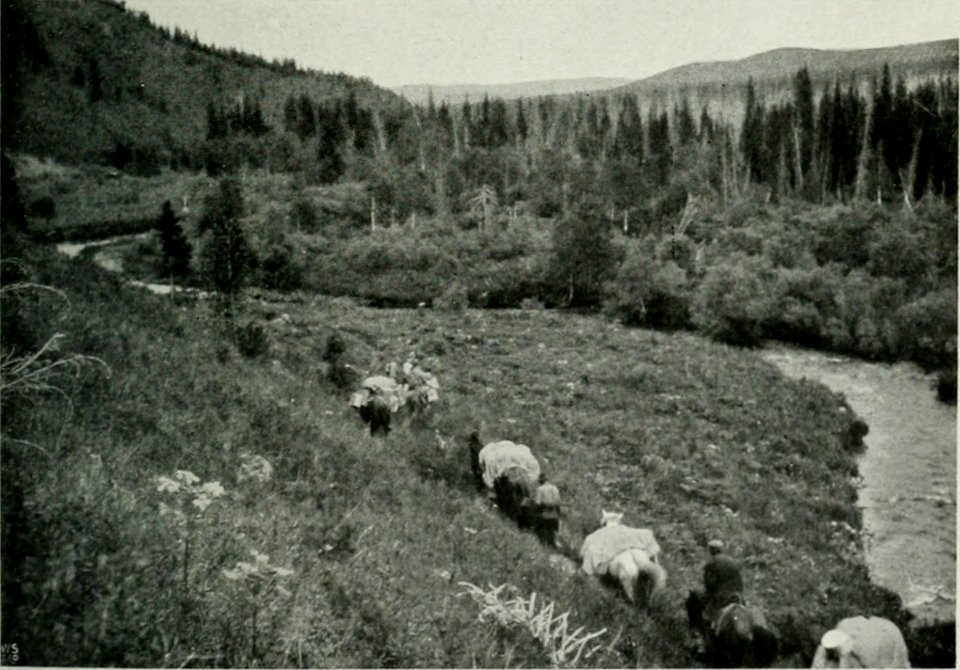 OLSEN(1915) Norske Sibirieskspeditions reise, 1914 - Pict 34 (14782650944)