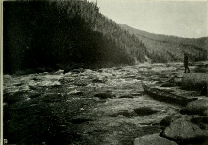 OLSEN(1915) Norske Sibirieskspeditions reise, 1914 - Pict 11 (14598371749)