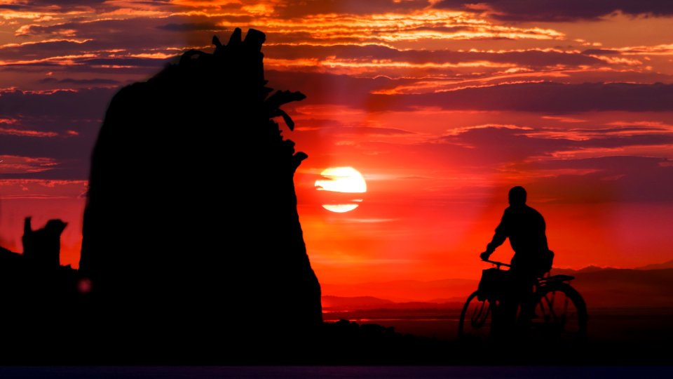 Sun back cycling
