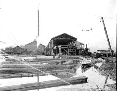 1920 Linco Log and Lumber Company Mill photo