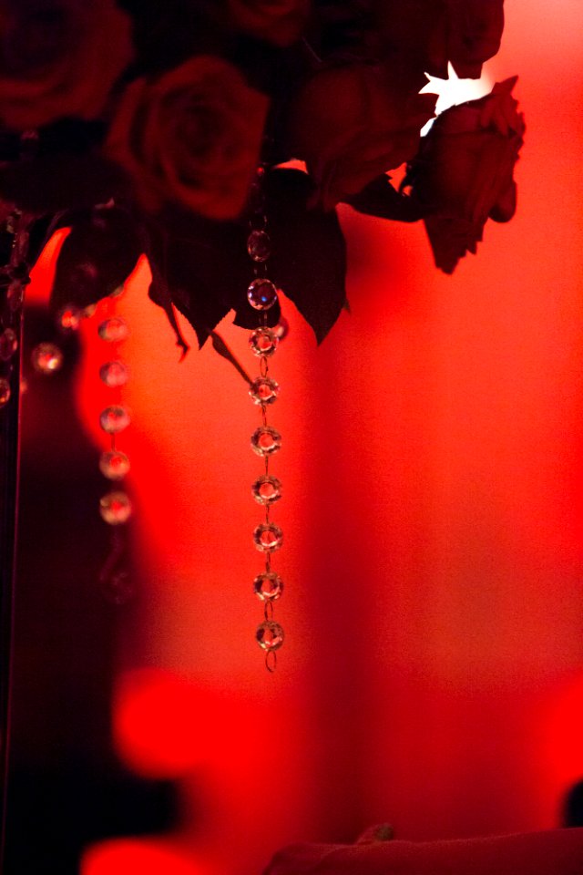 1920s style - 20150930-02-051 (22135046783)