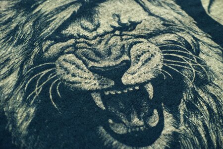 Textile clothing fashion
