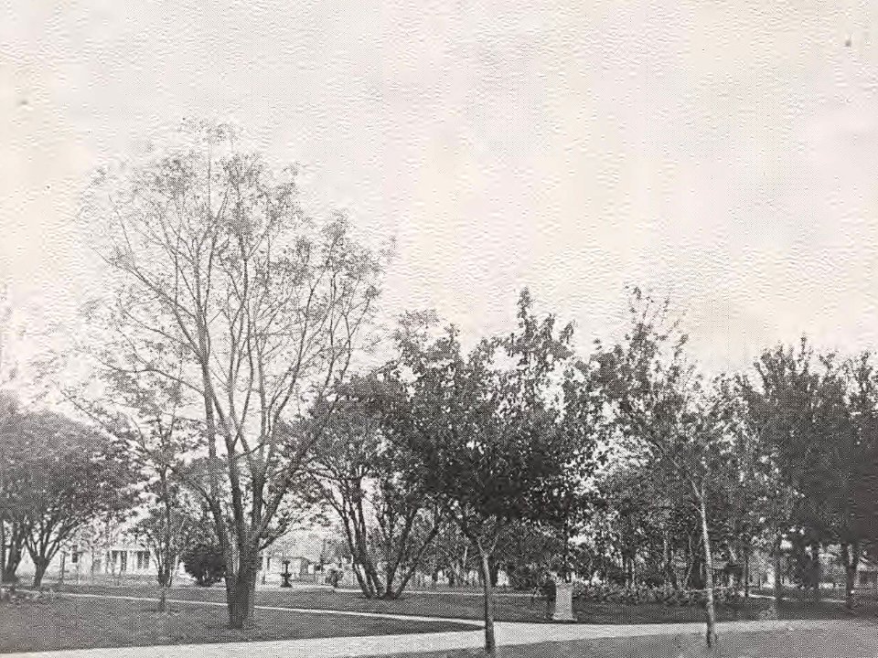 1922 Locust yearbook p. 015 (Heart of the Campus)