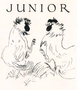 1922 Locust yearbook p. 035 (Junior)