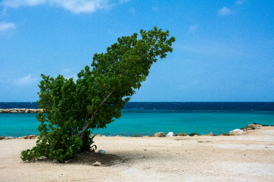 Ocean sea caribbean photo