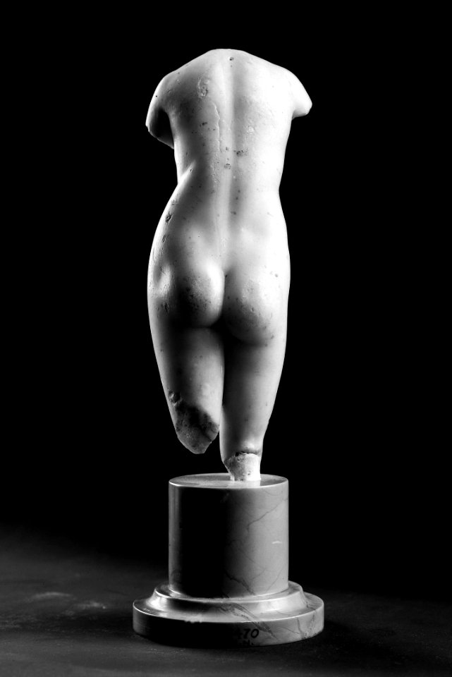 Ryś Torso of Venus 04
