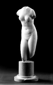 Ryś Torso of Venus 01