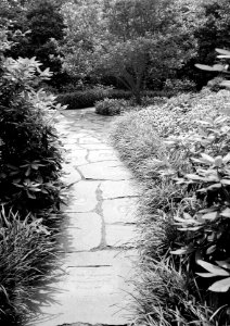 194. South Grounds; View of Children's Garden