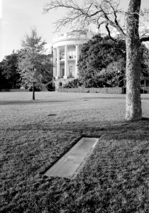 197. South Grounds; View of A. Jackson Milk Trough