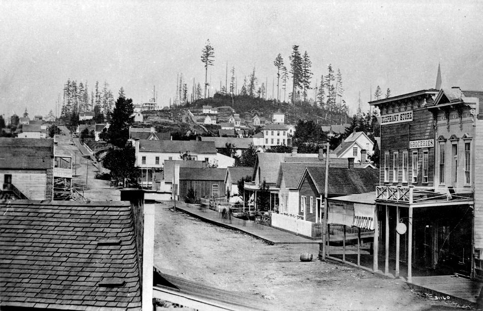 1st Ave, Seattle, 1878, including Elephant Store