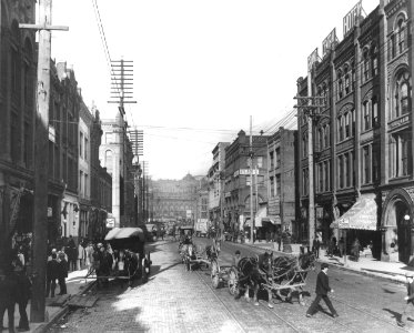 1st Ave, Seattle, Washington, 1902 (CURTIS 2042)