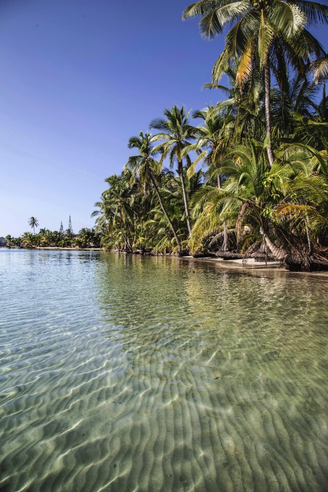 Coconut beach water