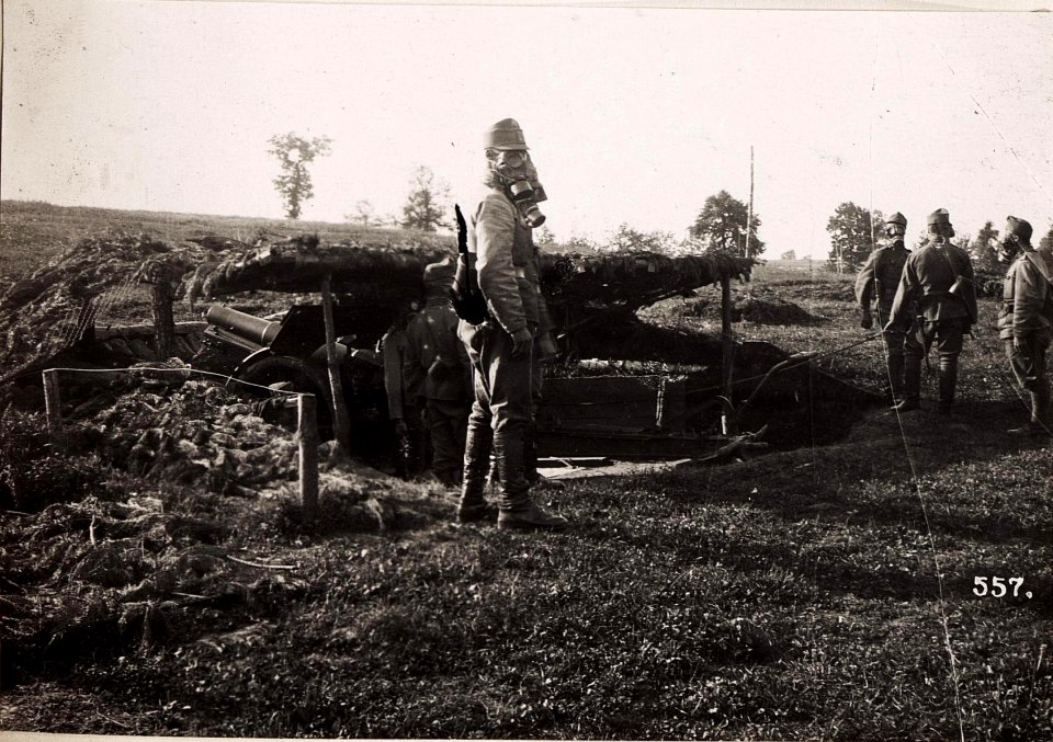 2 Batterien Feldartillerieregiment Nr.2 bei Kol.Dubrowa (BildID 15705868)