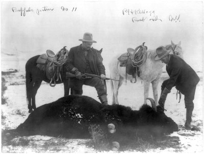 2 hunters standing over dead buffalo) Scotty Philip's herd, Fort Pierre, S.D. LCCN2006689761