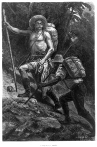 2 men with staffs climbing through forest slope (Mexico) LCCN2006686830