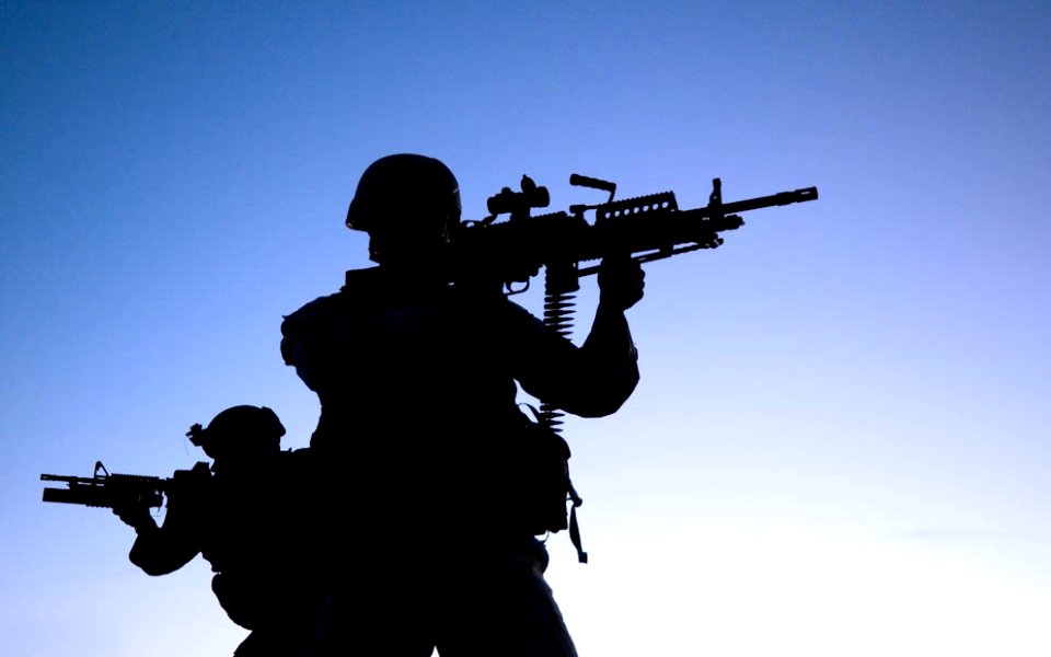 2 Seals aiming with their weapons