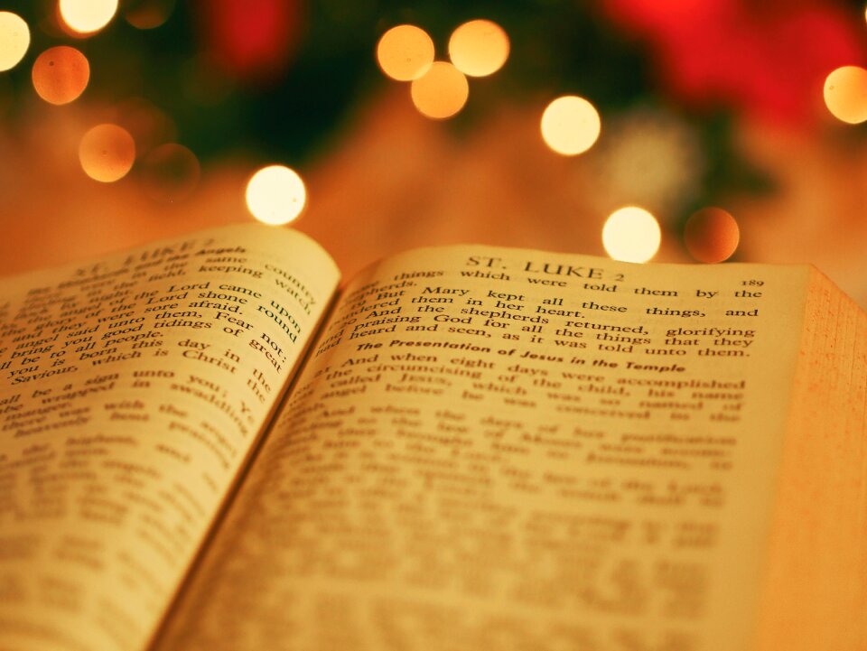 Reading religious bokeh photo