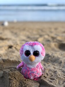 Beach penguin island