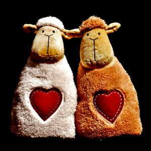 Valentine's day cute together