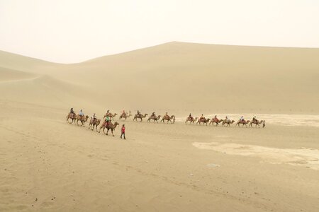 Desert mingsha caravans photo