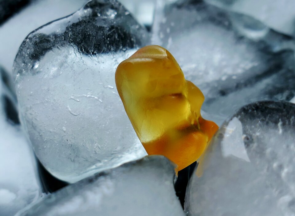 Ice cold gummibärchen transparent