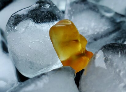 Ice cold gummibärchen transparent photo