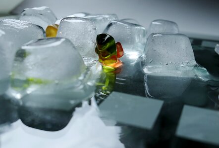 Ice cold gummibärchen transparent photo