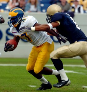 2004 Michigan-Navy Game