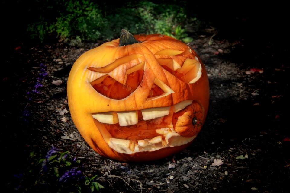 Autumn scary horror