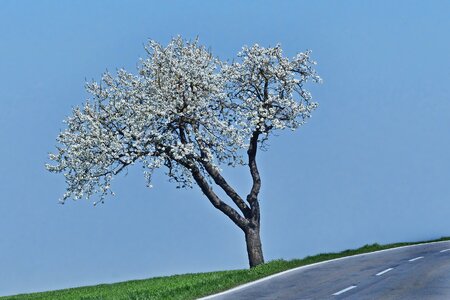 Landscape nature spring