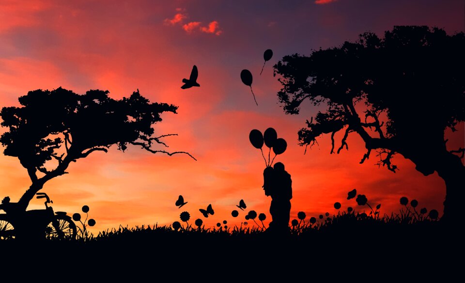 Dawn tree dusk